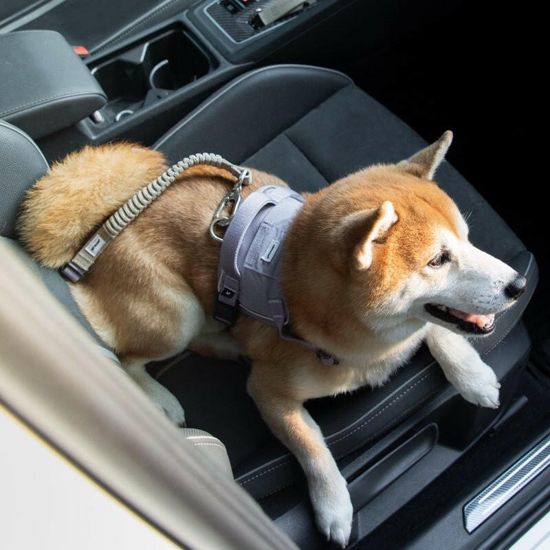 Pet Armrest Car Seat & Safety Belt Set – Secure, Comfortable Travel for Small Pets - Paw Charge